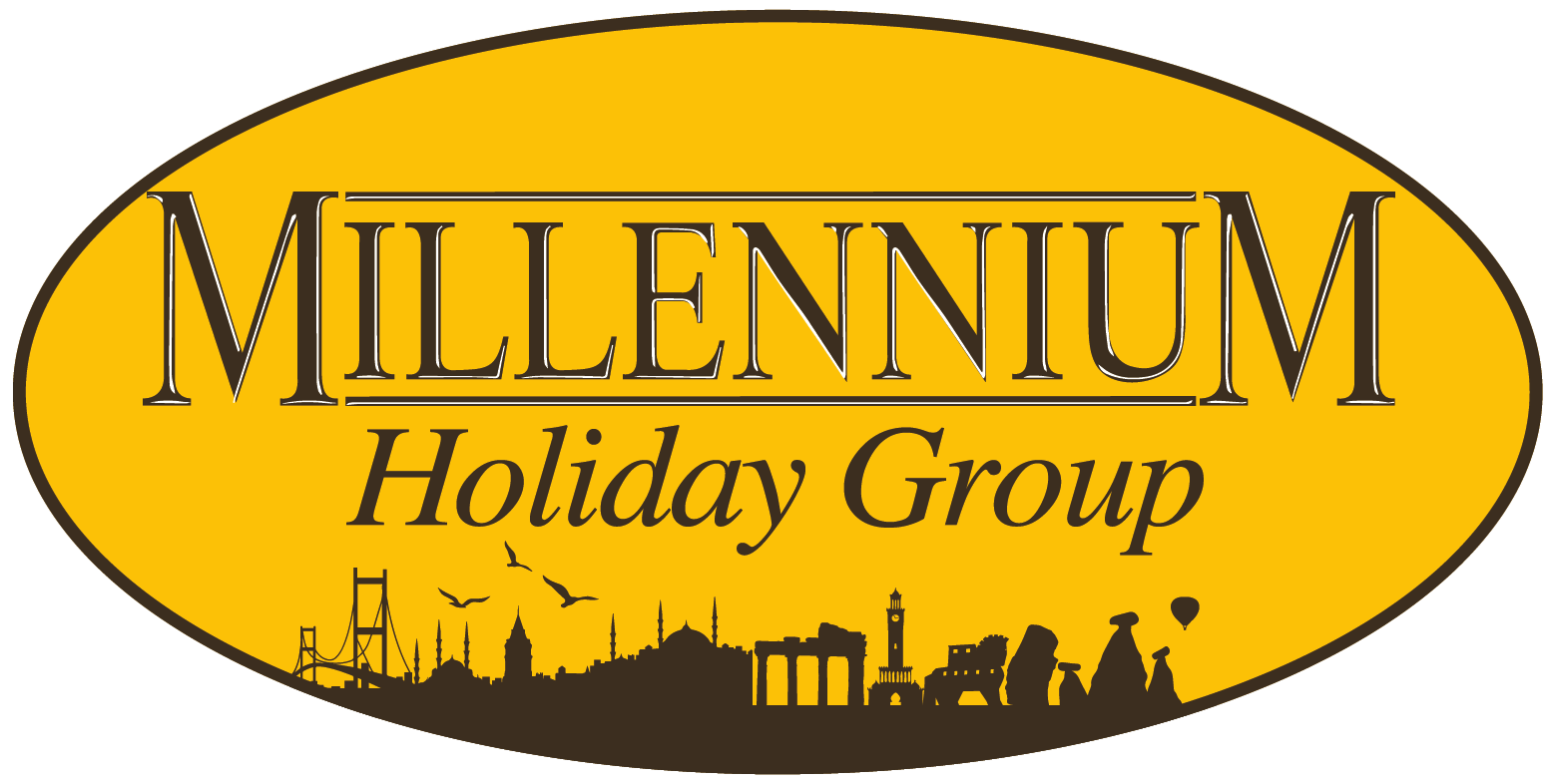 Holiday group. Миллениум логотип. Специализированный застройщик Миллениум логотип.